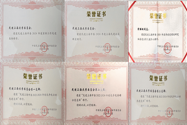 民进上大委员会奖状_副本.png