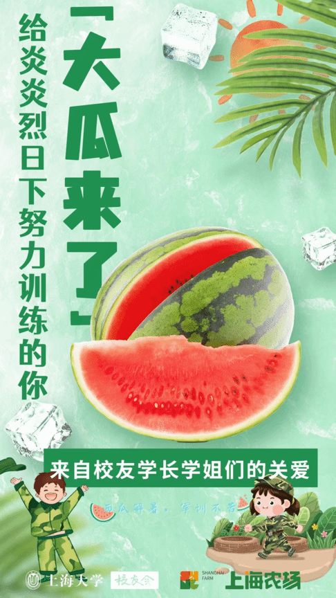 图片12.png